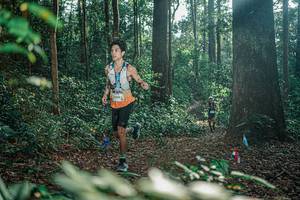 BIB: 
                            <button type="button" onclick="openModal(26067065)" class="btn btn-primary btn-sm float-right btn-popup" data-toggle="modal" data-target=".modal-high-quality">
                        <i class="fas fa-shopping-cart"></i> Add to Cart
                    </button>
                                            <button type="button" onclick="isThisMe(26067065, true)" class="btn btn-success btn-sm float-right btn-popup btn-isme hidden" data-toggle="tooltip" data-placement="bottom" title="นี่คือรูปของคุณใช่ไหม คลิกที่นี่เพื่อเอาเข้าอัลบั้ม">
                        <i class="fas fa-plus"></i> Add to album
                    </button>
                    <button type="button" onclick="isThisMe(26067065, false)" class="btn btn-warning btn-sm float-right btn-popup btn-isnotme hidden">
                        <i class="fas fa-ban"></i> Remove from album
                    </button>